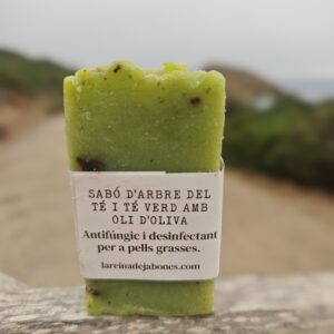 Té verde y árbol del té
